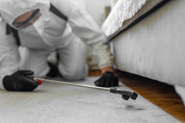 Professional Termite Control technician working in Delafield, WI