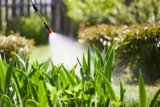 24/7 Emergency Termite Control experts in Delafield, WI