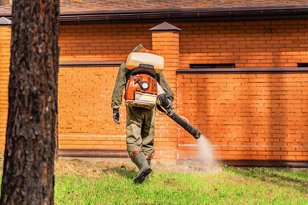 Top rated local Termite Control specialists in Delafield, WI